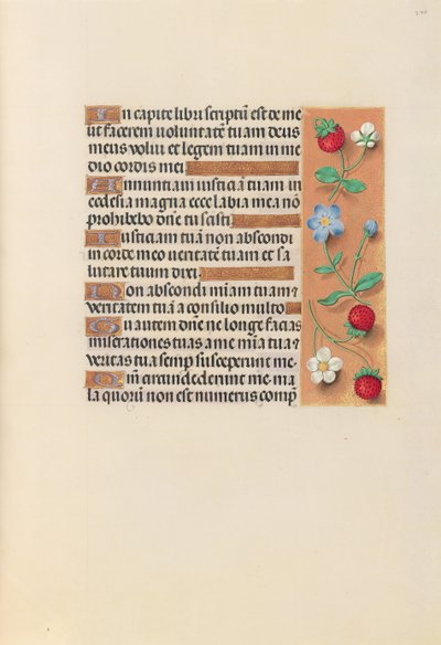 スペイン女王イザベラ女王の時間：フォル。 240r、c。 1500。 作： Master of the First Prayerbook of Maximillian