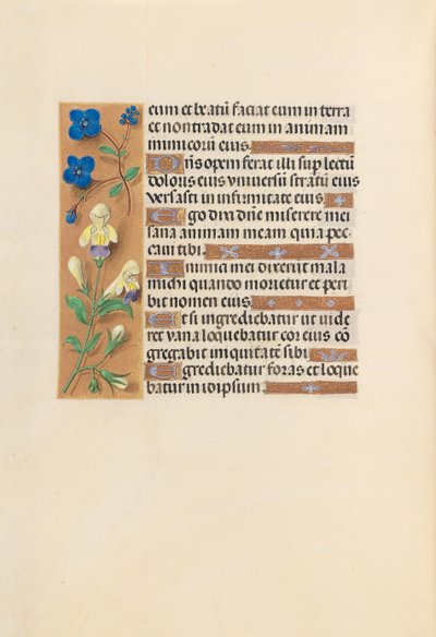 スペイン女王イザベラ女王の時間：フォル。 241v、c。 1500。 作： Master of the First Prayerbook of Maximillian