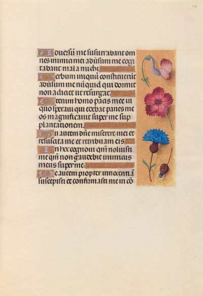 女王イザベラカトリック、スペイン女王の時間：フォル。 242r、c。 1500。 作： Master of the First Prayerbook of Maximillian