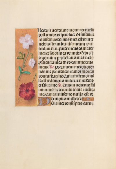 スペイン女王イザベラ女王の時間：フォル。 244v、c。 1500。 作： Master of the First Prayerbook of Maximillian