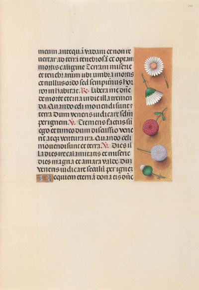 女王イザベラカトリック、スペイン女王の時間：フォル。 245r、c。 1500。 作： Master of the First Prayerbook of Maximillian