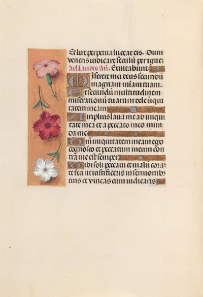 女王イザベラカトリック、スペイン女王の時間：フォル。 246v、c。 1500。 作： Master of the First Prayerbook of Maximillian