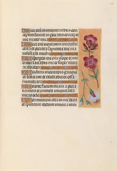 女王イザベラカトリック、スペイン女王の時間：フォル。 247r、c。 1500。 作： Master of the First Prayerbook of Maximillian