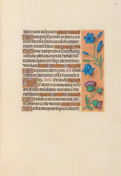 スペイン女王イザベラ女王の時間：フォル。 248r、c。 1500。 作： Master of the First Prayerbook of Maximillian