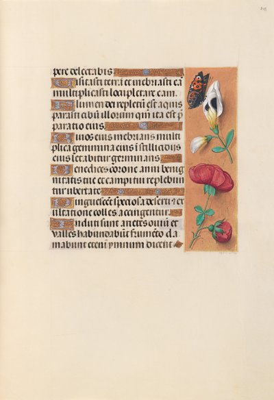 スペイン女王イザベラの時間：  フォル249r 作： Master of the First Prayerbook of Maximillian