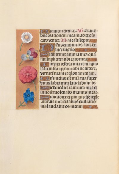 スペイン女王イザベラ女王の時間：フォル。 249v、c。 1500。 作： Master of the First Prayerbook of Maximillian