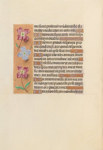 女王イザベラカトリック、スペイン女王の時間：フォル。 251v、c。 1500。 作： Master of the First Prayerbook of Maximillian