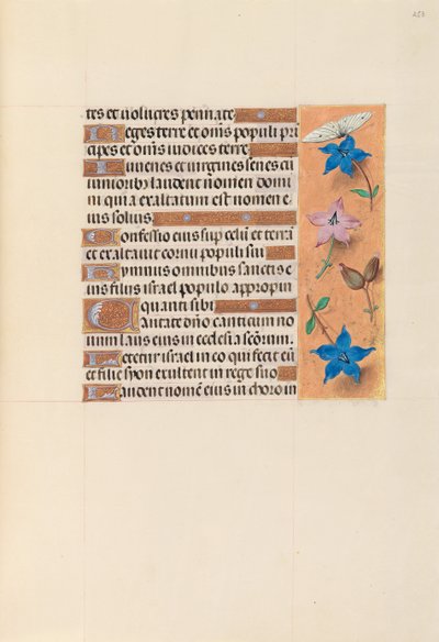女王イザベラカトリック、スペイン女王の時間：フォル。 253r、c。 1500。 作： Master of the First Prayerbook of Maximillian