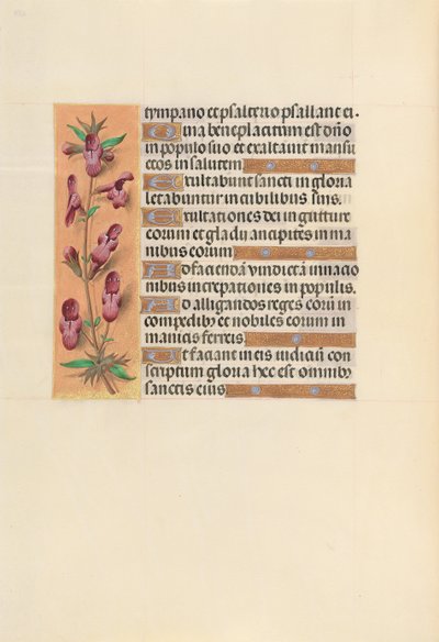女王イザベラカトリック、スペイン女王の時間：フォル。 253v、c。 1500。 作： Master of the First Prayerbook of Maximillian