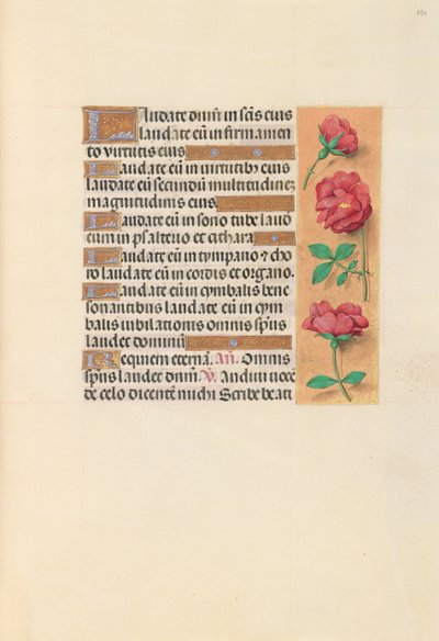 女王イザベラカトリック、スペイン女王の時間：フォル。 254r、c。 1500。 作： Master of the First Prayerbook of Maximillian