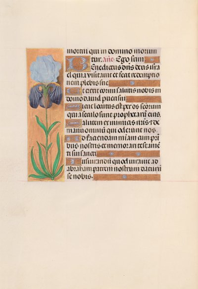 女王イザベラカトリック、スペイン女王の時間：フォル。 254v、c。 1500。 作： Master of the First Prayerbook of Maximillian