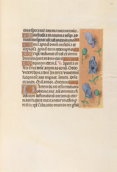 スペイン女王イザベラ女王の時間：フォル。 256r、c。 1500。 作： Master of the First Prayerbook of Maximillian