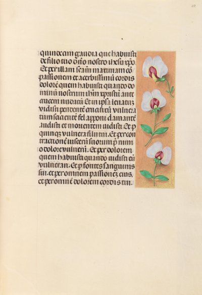 スペイン女王イザベラ女王の時間：フォル。 259r、c。 1500。 作： Master of the First Prayerbook of Maximillian