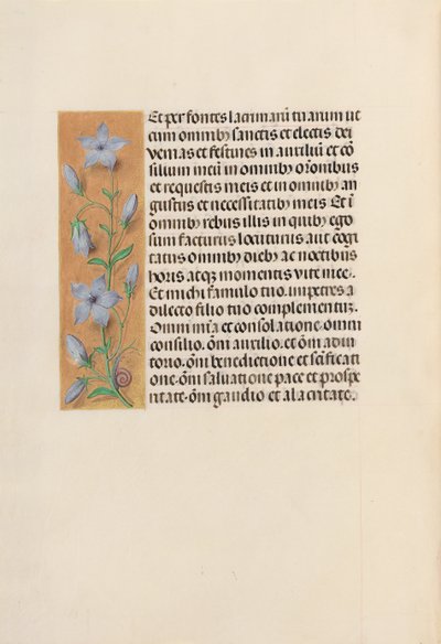 女王イザベラカトリック、スペイン女王の時間：フォル。 259v、c。 1500。 作： Master of the First Prayerbook of Maximillian