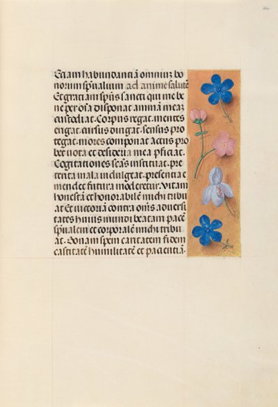 女王イザベラカトリック、スペイン女王の時間：フォル。 260r、c。 1500。 作： Master of the First Prayerbook of Maximillian