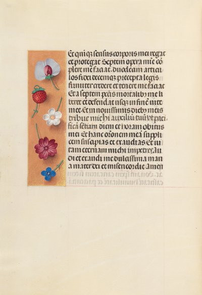スペイン女王イザベラ女王の時間：フォル。 260v、ピエタ、c。 1500。 作： Master of the First Prayerbook of Maximillian