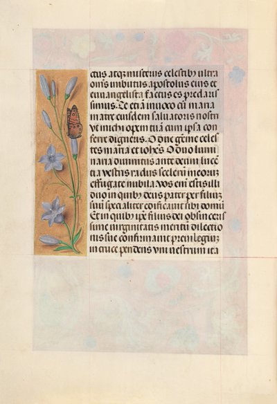 スペイン女王イザベラ女王の時間：フォル。 262v、c。 1500。 作： Master of the First Prayerbook of Maximillian