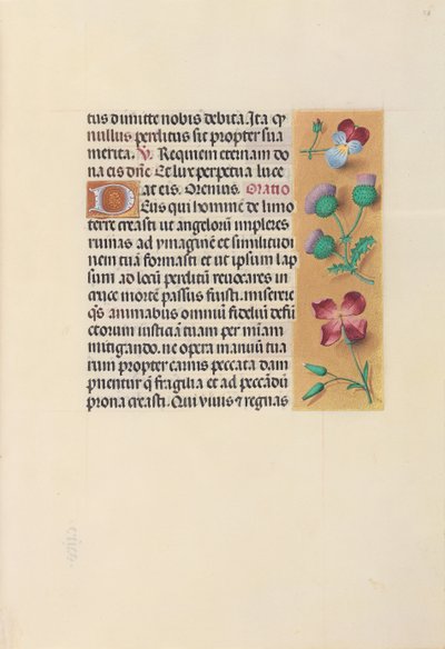 女王イザベラカトリック、スペイン女王の時間：フォル。 26r、c。 1500。 作： Master of the First Prayerbook of Maximillian