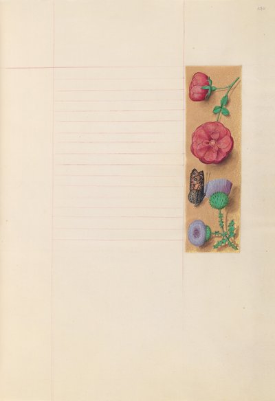 女王イザベラカトリック、スペイン女王の時間：フォル。 270r、c。 1500。 作： Master of the First Prayerbook of Maximillian
