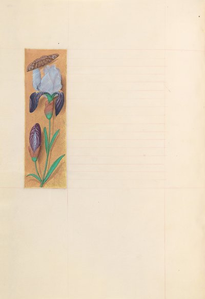 女王イザベラカトリック、スペイン女王の時間：フォル。 277v、c。 1500。 作： Master of the First Prayerbook of Maximillian