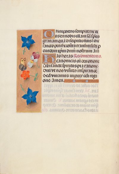女王イザベラカトリック、スペイン女王の時間：フォル。 36v、c。 1500。 作： Master of the First Prayerbook of Maximillian