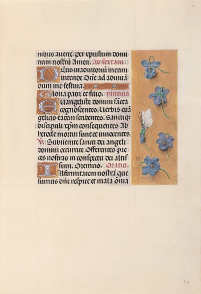 女王イザベラカトリック、スペイン女王の時間：フォル。 40r、c。 1500。 作： Master of the First Prayerbook of Maximillian