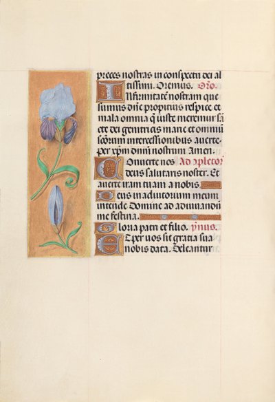 女王イザベラカトリック、スペイン女王の時間：フォル。 41v、c。 1500。 作： Master of the First Prayerbook of Maximillian