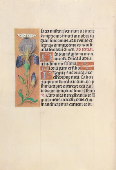 スペイン女王イザベラ女王の時間：フォル。 45v、c。 1500。 作： Master of the First Prayerbook of Maximillian