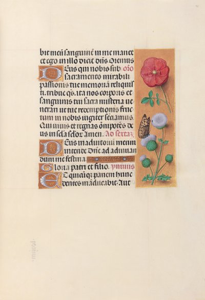 スペイン女王イザベラの時間：  フォル46r 作： Master of the First Prayerbook of Maximillian