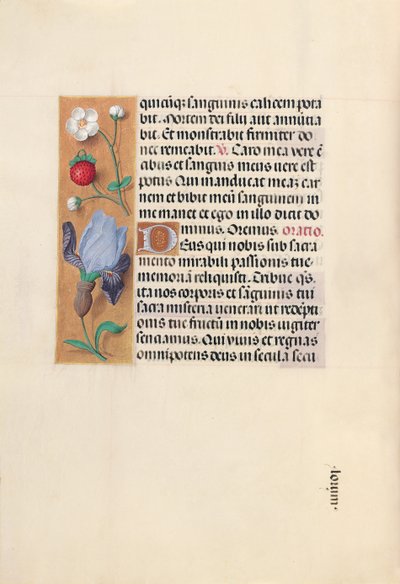 スペイン女王イザベラ女王の時間：フォル。 46v、c。 1500。 作： Master of the First Prayerbook of Maximillian