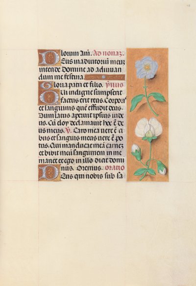 スペイン女王イザベラ女王の時間：フォル。 47r、c。 1500。 作： Master of the First Prayerbook of Maximillian