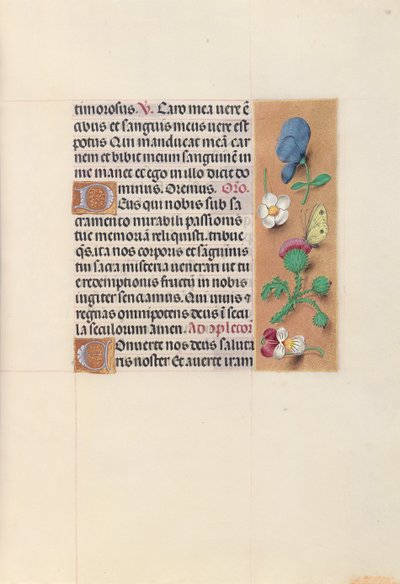 女王イザベラカトリック、スペイン女王の時間：フォル。 48r、c。 1500。 作： Master of the First Prayerbook of Maximillian