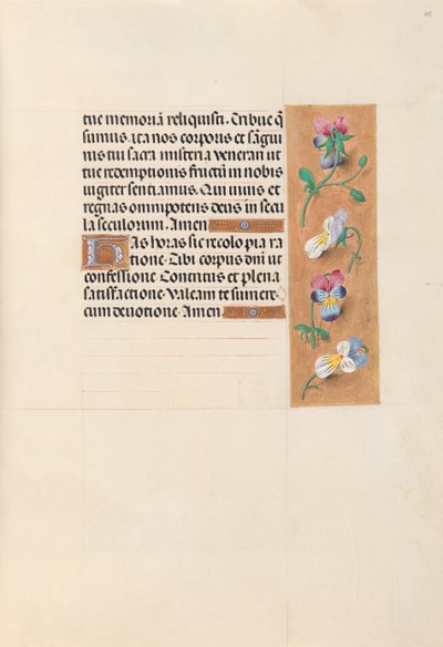 女王イザベラカトリック、スペイン女王の時間：フォル。 49r、c。 1500。 作： Master of the First Prayerbook of Maximillian