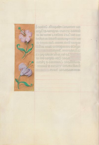 女王イザベラカトリック、スペイン女王の時間：フォル。 49v、c。 1500。 作： Master of the First Prayerbook of Maximillian