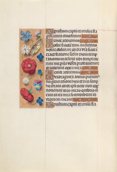 スペインの女王、カトリックのイザベラ女王の時間：Fol。 51v、c。 1500。 作： Master of the First Prayerbook of Maximillian