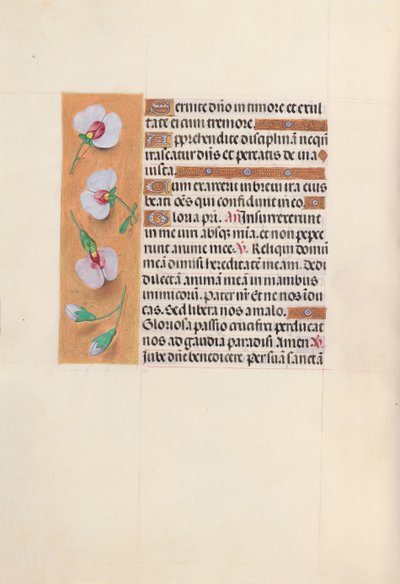 女王イザベラカトリック、スペイン女王の時間：フォル。 53v、c。 1500。 作： Master of the First Prayerbook of Maximillian