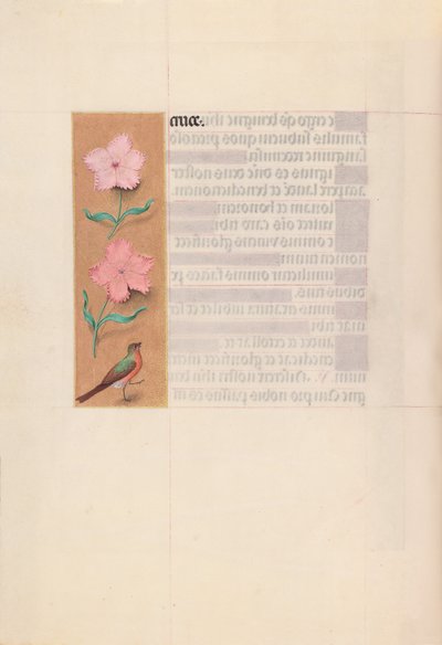 スペイン女王イザベラの時間：  フォル56v 作： Master of the First Prayerbook of Maximillian