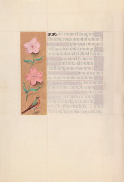 女王イザベラカトリック、スペイン女王の時間：フォル。 56v、c。 1500。 作： Master of the First Prayerbook of Maximillian