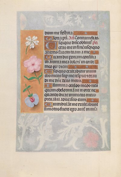 スペイン女王イザベラの時間：  フォル57v 作： Master of the First Prayerbook of Maximillian