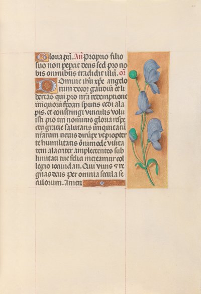 女王イザベラカトリック、スペイン女王の時間：フォル。 60r、c。 1500。 作： Master of the First Prayerbook of Maximillian