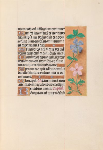 女王イザベラカトリック、スペイン女王の時間：フォル。 62r、c。 1500。 作： Master of the First Prayerbook of Maximillian