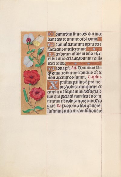 女王イザベラカトリック、スペイン女王の時間：フォル。 64v、c。 1500。 作： Master of the First Prayerbook of Maximillian