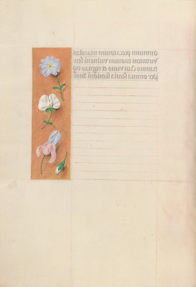 女王イザベラカトリック、スペイン女王の時間：フォル。 68v、c。 1500。 作： Master of the First Prayerbook of Maximillian