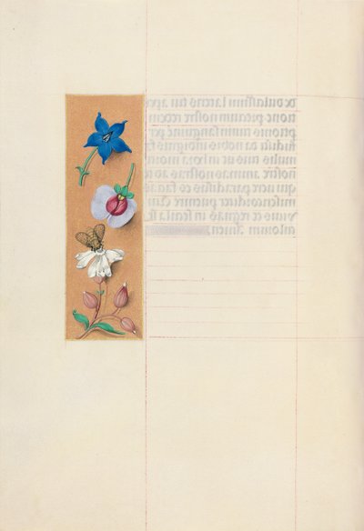 女王イザベラカトリック、スペイン女王の時間：フォル。 71v、c。 1500。 作： Master of the First Prayerbook of Maximillian