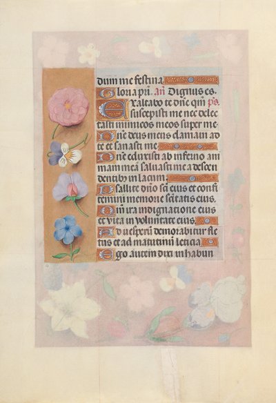 女王イザベラカトリック、スペイン女王の時間：フォル。 73v、c。 1500。 作： Master of the First Prayerbook of Maximillian