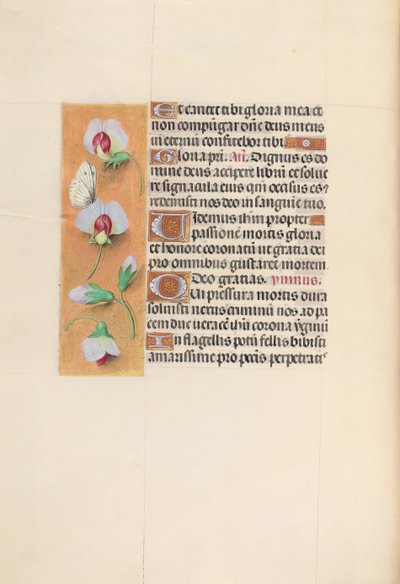 女王イザベラカトリック、スペイン女王の時間：フォル。 74v、c。 1500。 作： Master of the First Prayerbook of Maximillian