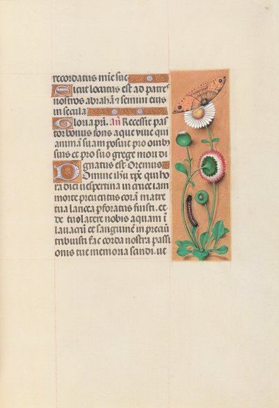 女王イザベラカトリック、スペイン女王の時間：フォル。 76r、c。 1500。 作： Master of the First Prayerbook of Maximillian