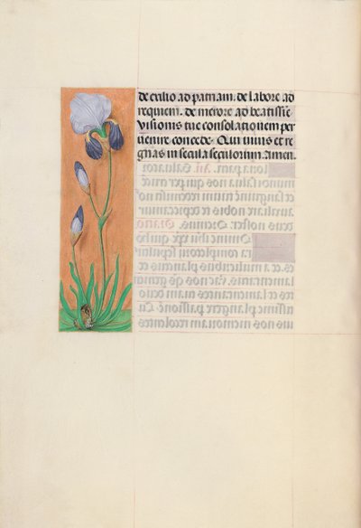 女王イザベラカトリック、スペイン女王の時間：フォル。 79v、c。 1500。 作： Master of the First Prayerbook of Maximillian