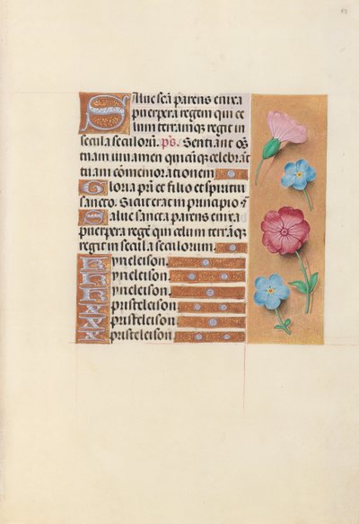 女王イザベラカトリック、スペイン女王の時間：フォル。 89r、c。 1500。 作： Master of the First Prayerbook of Maximillian