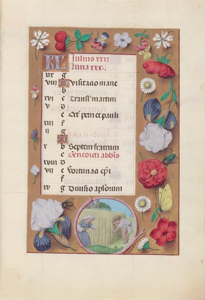 女王イザベラカトリック、スペイン女王の時間：フォル。 7月8日-小麦の収穫、c。 1500。 作： Master of the First Prayerbook of Maximillian